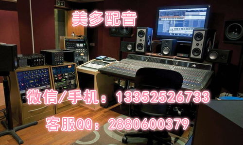 淡水银鱼市场行情与录音制作应用